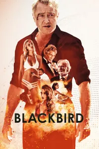 Blackbird izle