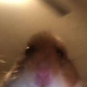 meto02 adlı kullanıcı